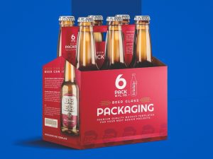 Payment Processing For Custom Beer Packages In India | rtgspay