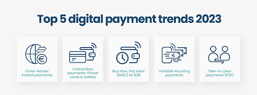 payment provider for Professional services in india | igpay