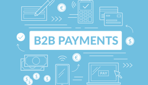 Payment Gateway Business to Business in India | rtgspay