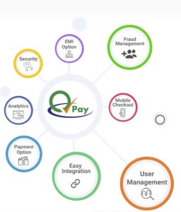 Payment provider Digital Payment Solutions In India | igpay