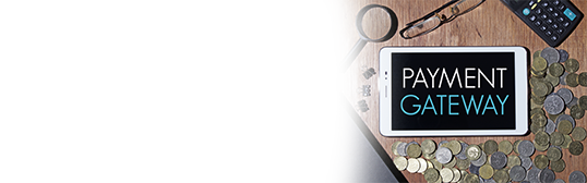 Payment Gateway Magazine Sales in India | rtgspay