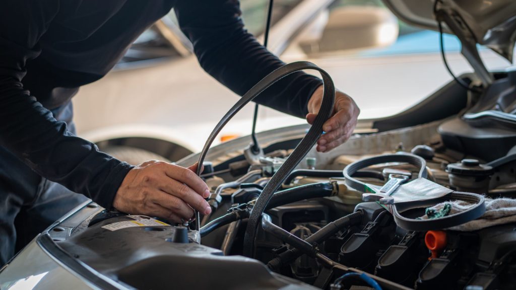Payment Processing For Serpentine Belts In India | igpay