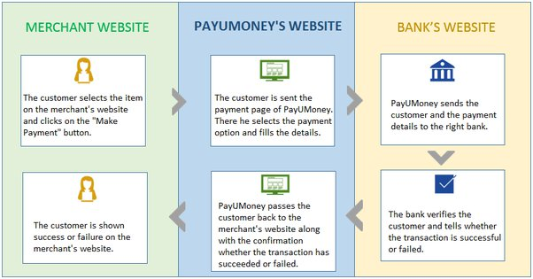 payment processing for Craft beer enthusiasts In India | igpay