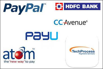 payment-processing-for-business-integration-in-india | rtgspay