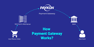 Payment provider Clean Water Solutions In India | igpay