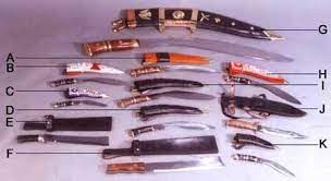 Payment Gateway For Collectible Knives In India | igpay