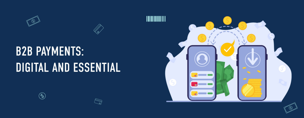 Payment Provider Business to Business in India | igpay