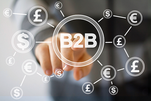 Payment Provider Business to Business in India | igpay