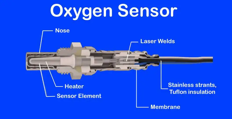 High-Risk PSP For Oxygen Sensors In India | rtgspay