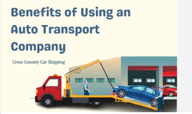 Payment Provider For Enclosed Auto Transport In India | igpay