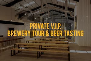 Payment Provider For VIP Brewery Access In India | rtgspay