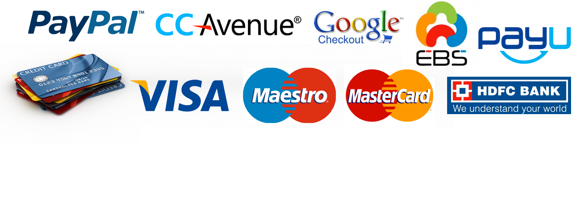 payment provider payment processing companies in india | rtgspay