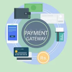 payment-gateway-service-250×250 | rtgspay