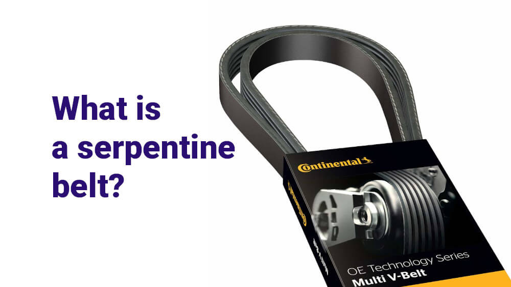 Payment Provider For Serpentine Belts In India | rtgspay